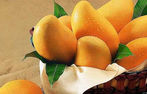 芒果的营养价值