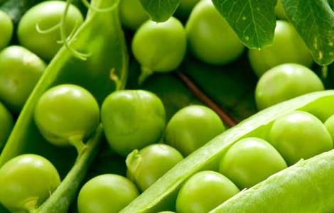 豌豆的营养价值 豌豆的营养价值表