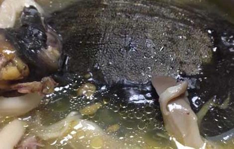 甲鱼汤的做法及功效