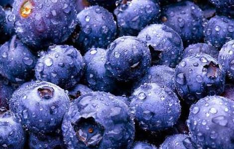 野生蓝莓怎么吃