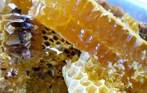 喝蜂蜜水会胖吗