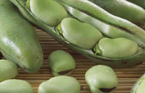 新鲜蚕豆的保存方法