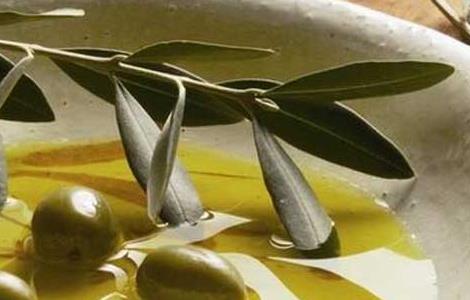 橄榄油的美容方法