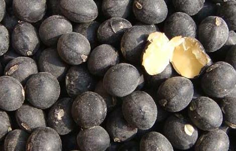 黑豆怎么吃最补肾