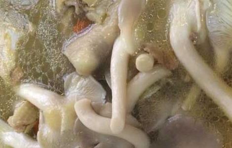 凤尾菇瘦肉汤