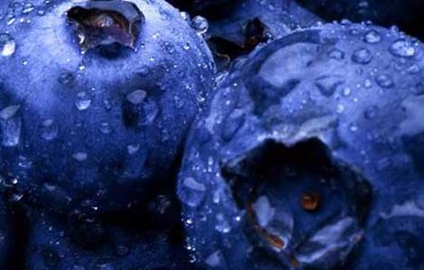 蓝莓每天吃多少合适