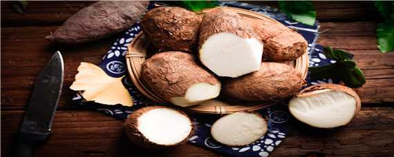 芋头种植高产技术正确方法 芋头的高产栽培技术