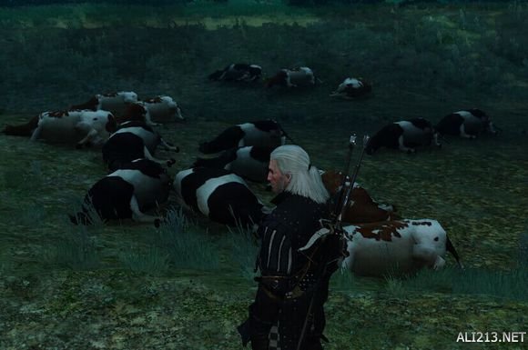 《巫师3：狂猎》刷羊刷牛地点解析攻略