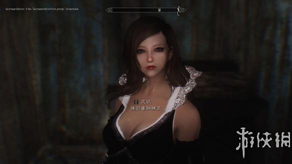 《上古卷轴5：天际》各类型美女随从MOD合集 独立随从飞扬MOD