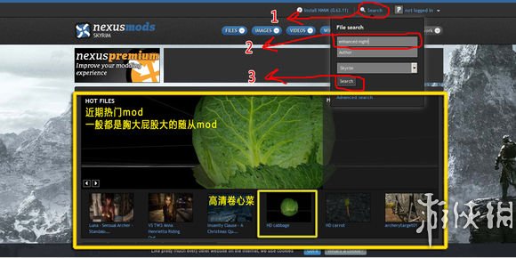 上古卷轴5天际N网MOD下载教程 怎么下载MOD 前言