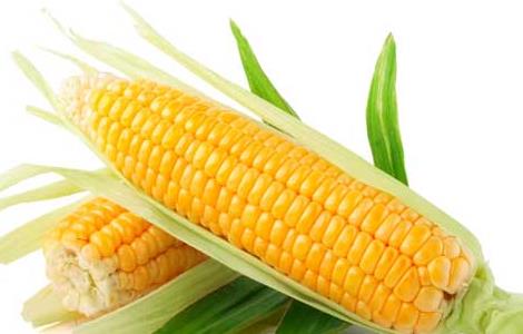 经常吃玉米会胖吗?
