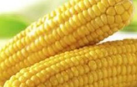 如何预防玉米高温危害 如何预防玉米高温危害的方法