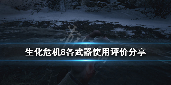 生化危机8哪把武器最好 生化危机8各武器使用评价分享