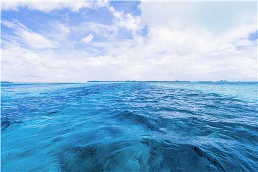 核辐射污水排入海洋会怎样