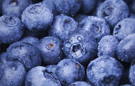 蓝莓的产地分布 蓝莓的产地分布在哪里
