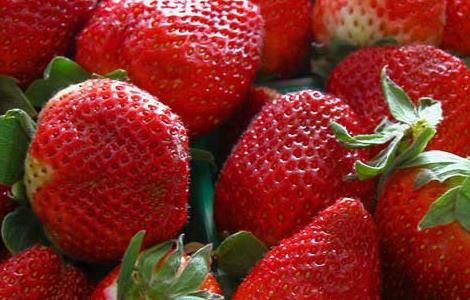 草莓什么时候成熟 2022草莓什么时候成熟