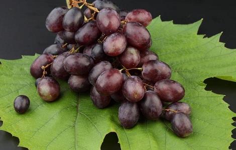 葡萄的储藏保鲜技术 葡萄的储藏保鲜技术要求