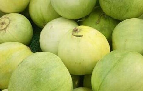 香瓜怎么种植 香瓜怎么种植结的瓜才多