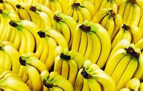 香蕉高产种植技术（香蕉高产种植技术与管理）