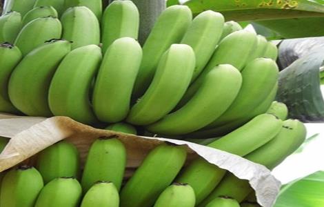 香蕉贮存与催熟技术（生产上香蕉催熟的方法及应用情况）
