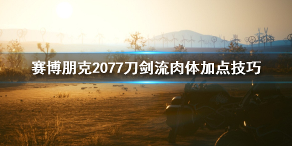 赛博朋克2077刀剑流肉体怎么加点（赛博朋克2077刀剑流加点图）