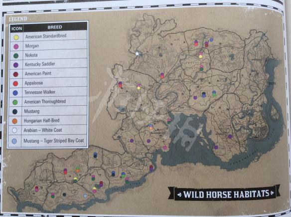 荒野大镖客2虎纹野马怎么获得 虎纹野马位置及属性介绍