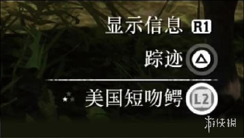 荒野大镖客2动物素材品质有哪些 高品质动物素材获得方法_网