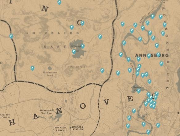 荒野大镖客2收集地图全汇总 荒野大镖客2收集地图大全 总览/帮派成员坟墓/传奇动物位置