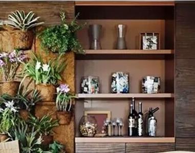 教你用家里的盆栽制作绿植背景墙（背景墙盆栽搭配）