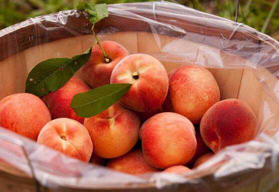 吃熟桃子的功效与作用 桃子生吃和熟吃的功效