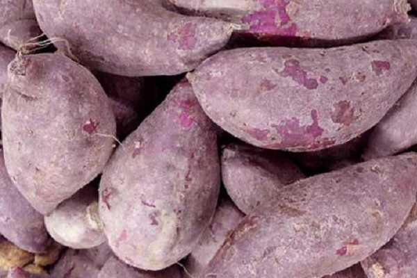 一亩紫薯的利润有多少，种植前景好不好