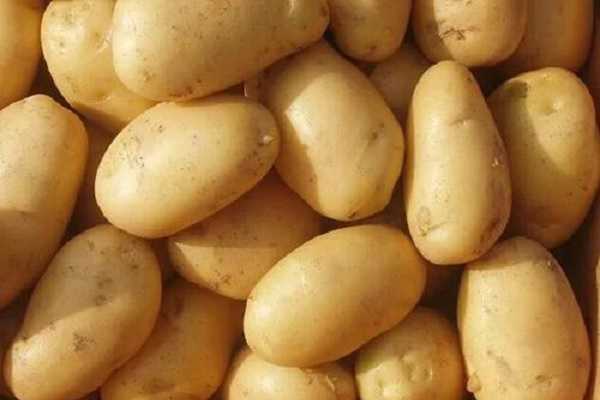 2020年土豆价格预测 价格会不会上涨
