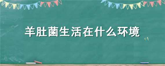 羊肚菌生活在什么环境 羊肚菌的生活环境