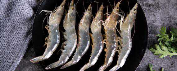 基围虾是激素养大的吗