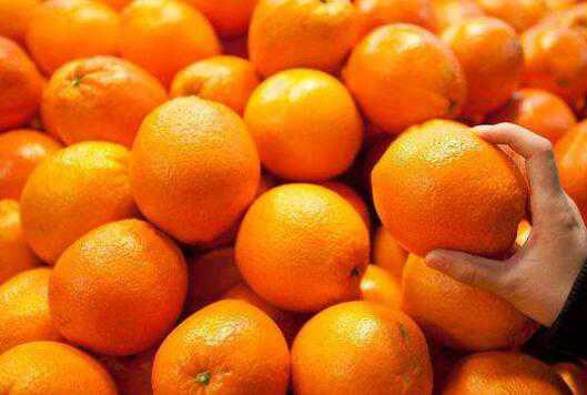 橘子和桔子有什么区别 橘子和桔子有什么区别和功效