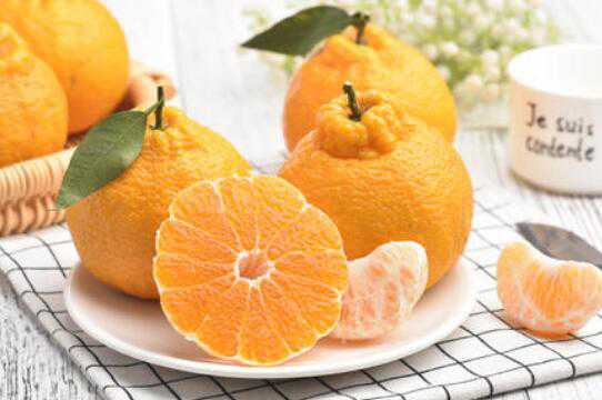 丑橘的营养价值 丑橘的功效与作用