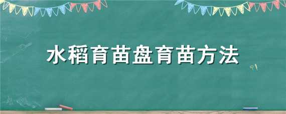 水稻育苗盘育苗方法