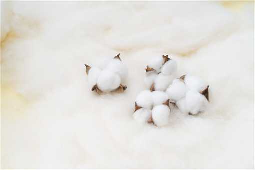 新疆棉花多少钱一斤