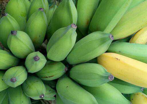 牛角蕉和芭蕉的区别 牛角蕉的功效