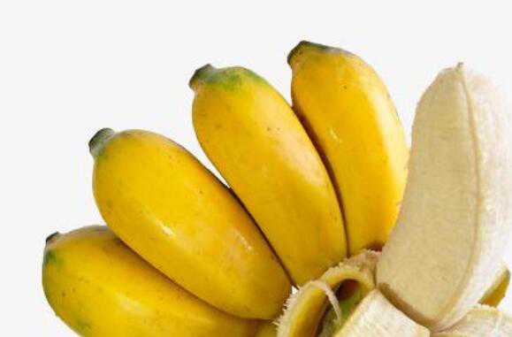 米蕉的功效与禁忌有哪些