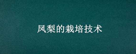 凤梨的栽培技术