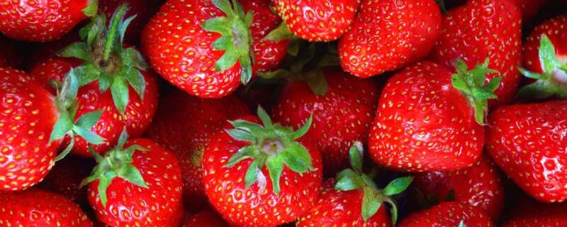 草莓的形状 草莓的形状像什么