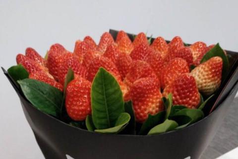33颗草莓花束的寓意