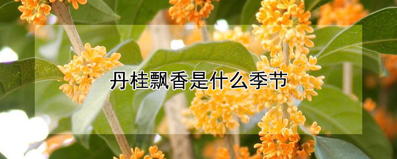 丹桂飘香是什么季节 鸟语花香是什么季节