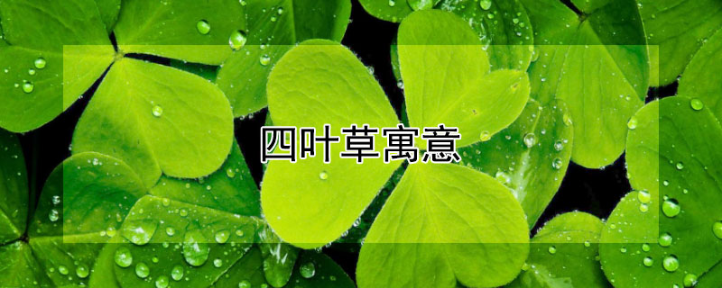 四叶草寓意（梵克雅宝四叶草寓意）