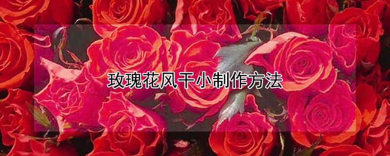 玫瑰花风干小制作方法 风干玫瑰花的制作方法图片