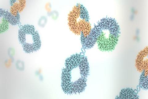球蛋白针的功效与作用 人体免疫球蛋白针的功效与作用