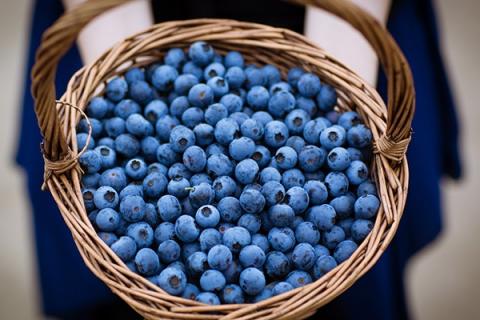 蓝莓果酱的功效与作用 桑葚蓝莓果酱的功效与作用