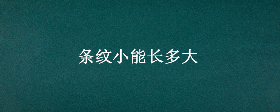 条纹小能长多大 条纹小鲃生长速度