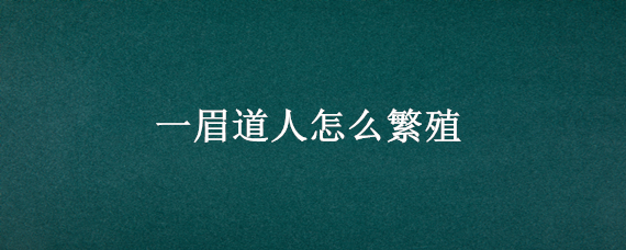 一眉道人怎么繁殖（一眉道人怎么饲养）